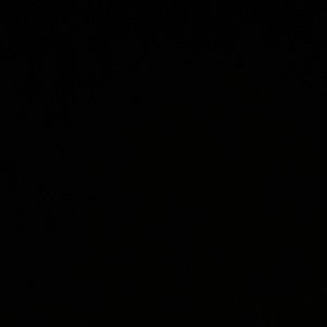 Meet your Posher, Shaun